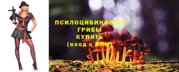 ECSTASY Аркадак
